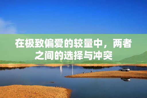 在极致偏爱的较量中，两者之间的选择与冲突
