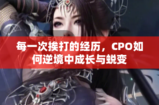 每一次挨打的经历，CPO如何逆境中成长与蜕变