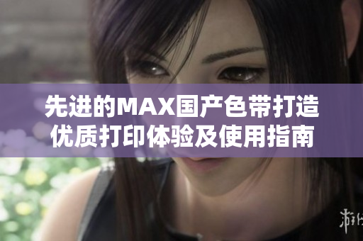 先进的MAX国产色带打造优质打印体验及使用指南
