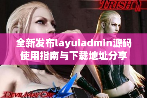 全新发布layuiadmin源码使用指南与下载地址分享