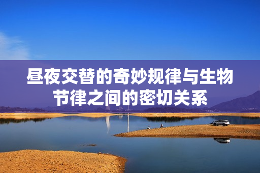 昼夜交替的奇妙规律与生物节律之间的密切关系