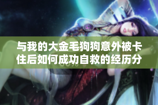 与我的大金毛狗狗意外被卡住后如何成功自救的经历分享
