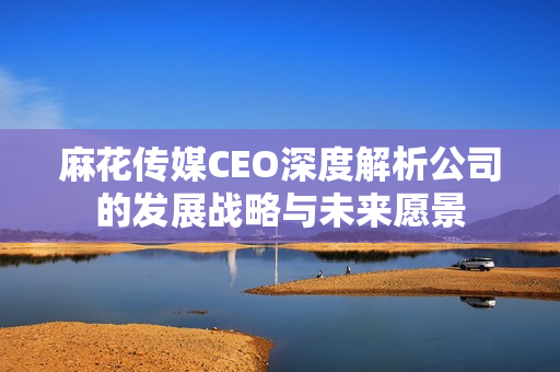 麻花传媒CEO深度解析公司的发展战略与未来愿景