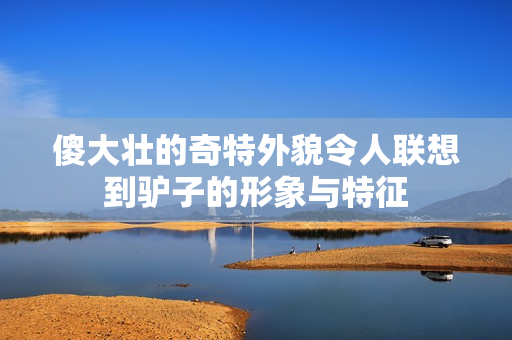 傻大壮的奇特外貌令人联想到驴子的形象与特征