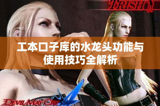 工本口子库的水龙头功能与使用技巧全解析