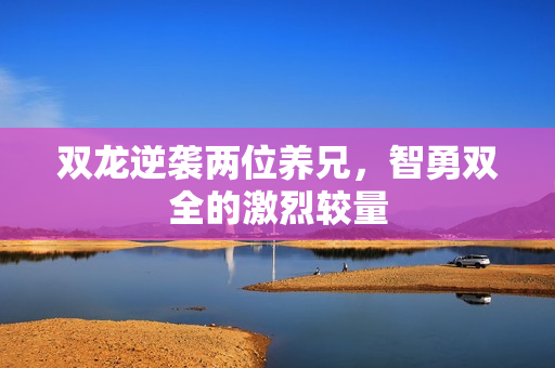 双龙逆袭两位养兄，智勇双全的激烈较量