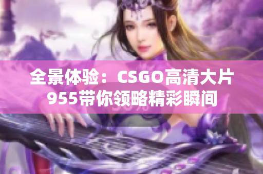 全景体验：CSGO高清大片955带你领略精彩瞬间