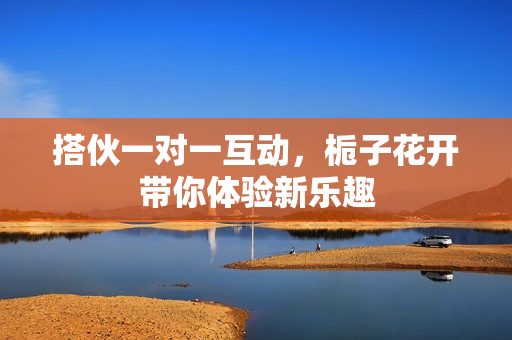 搭伙一对一互动，栀子花开带你体验新乐趣