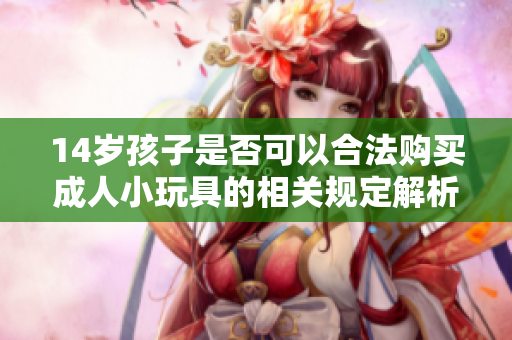 14岁孩子是否可以合法购买成人小玩具的相关规定解析
