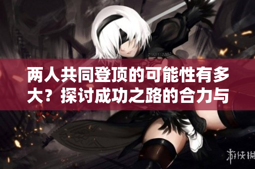 两人共同登顶的可能性有多大？探讨成功之路的合力与挑战