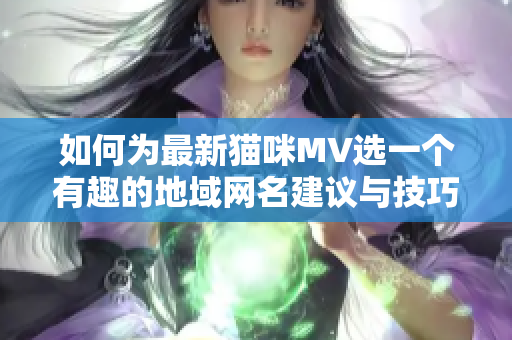 如何为最新猫咪MV选一个有趣的地域网名建议与技巧