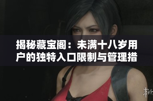 揭秘藏宝阁：未满十八岁用户的独特入口限制与管理措施