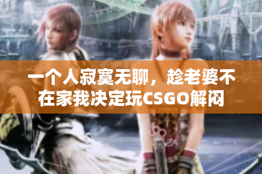 一个人寂寞无聊，趁老婆不在家我决定玩CSGO解闷