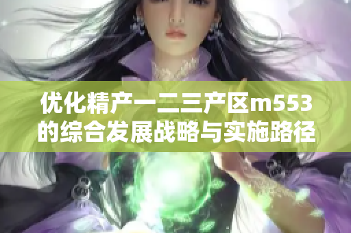 优化精产一二三产区m553的综合发展战略与实施路径