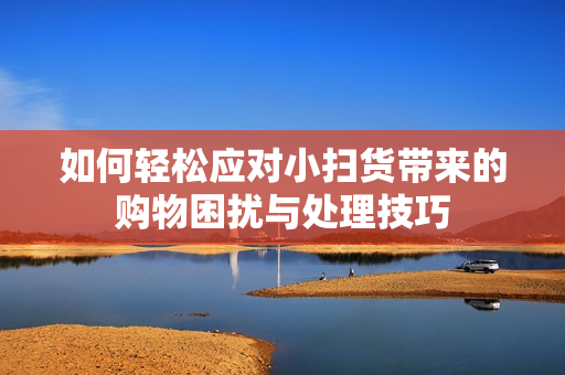 如何轻松应对小扫货带来的购物困扰与处理技巧