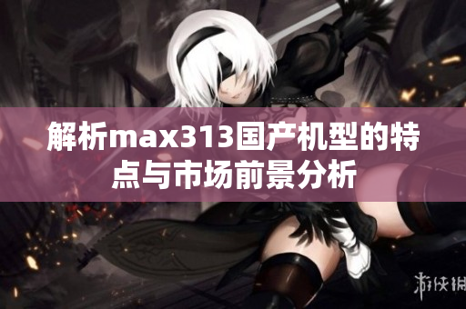 解析max313国产机型的特点与市场前景分析