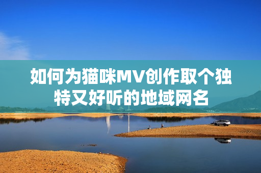 如何为猫咪MV创作取个独特又好听的地域网名