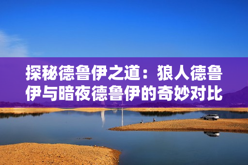 探秘德鲁伊之道：狼人德鲁伊与暗夜德鲁伊的奇妙对比与探索