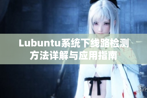 Lubuntu系统下线路检测方法详解与应用指南
