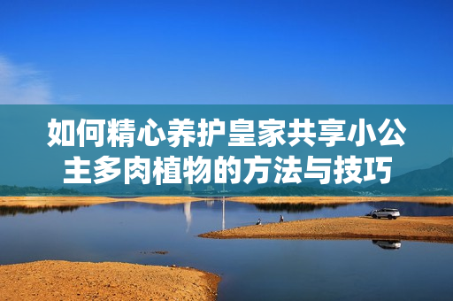 如何精心养护皇家共享小公主多肉植物的方法与技巧