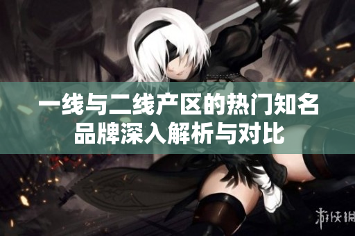 一线与二线产区的热门知名品牌深入解析与对比