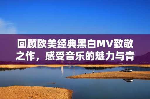 回顾欧美经典黑白MV致敬之作，感受音乐的魅力与青春影像