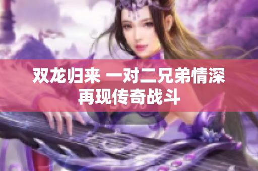 双龙归来 一对二兄弟情深再现传奇战斗
