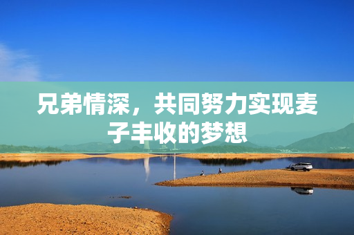 兄弟情深，共同努力实现麦子丰收的梦想