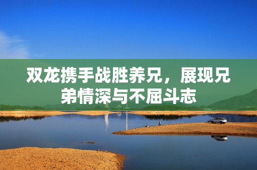 双龙携手战胜养兄，展现兄弟情深与不屈斗志