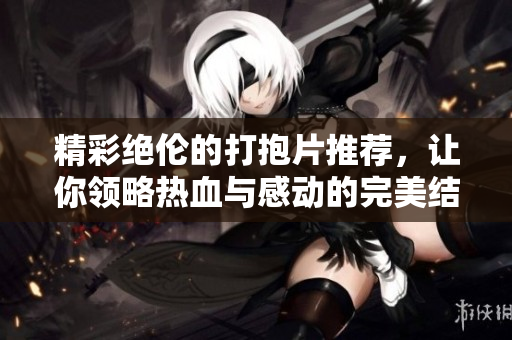 精彩绝伦的打抱片推荐，让你领略热血与感动的完美结合