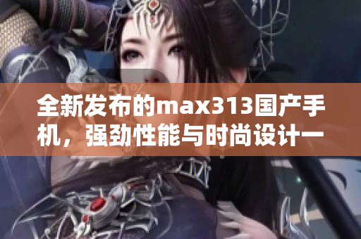 全新发布的max313国产手机，强劲性能与时尚设计一体化
