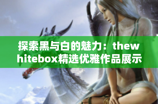 探索黑与白的魅力：thewhitebox精选优雅作品展示