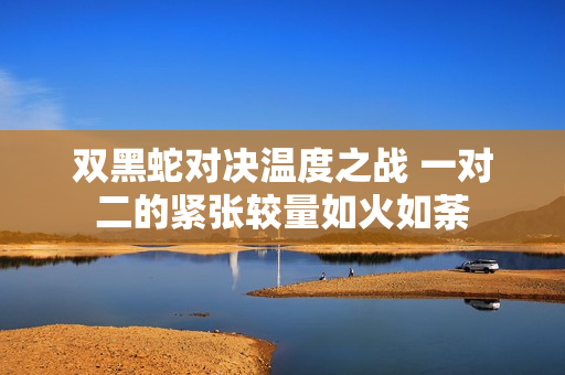 双黑蛇对决温度之战 一对二的紧张较量如火如荼