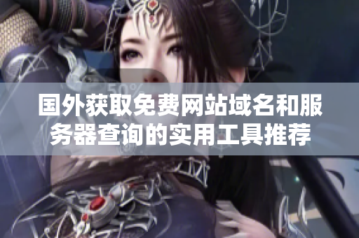 国外获取免费网站域名和服务器查询的实用工具推荐