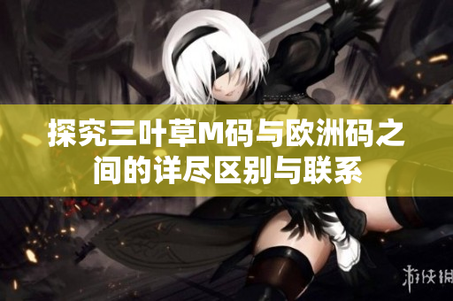 探究三叶草M码与欧洲码之间的详尽区别与联系
