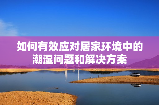 如何有效应对居家环境中的潮湿问题和解决方案