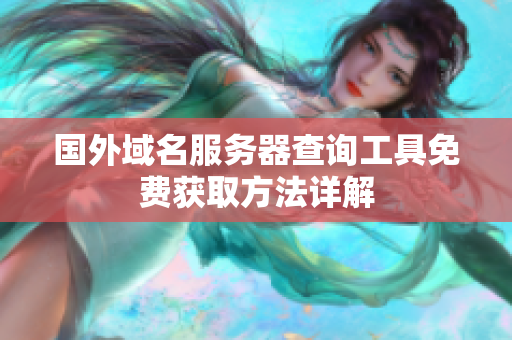 国外域名服务器查询工具免费获取方法详解