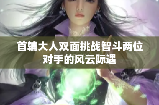 首辅大人双面挑战智斗两位对手的风云际遇