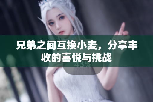 兄弟之间互换小麦，分享丰收的喜悦与挑战