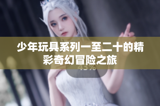 少年玩具系列一至二十的精彩奇幻冒险之旅