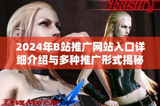 2024年B站推广网站入口详细介绍与多种推广形式揭秘