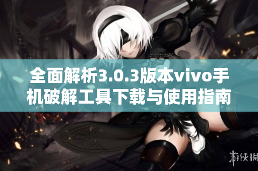 全面解析3.0.3版本vivo手机破解工具下载与使用指南