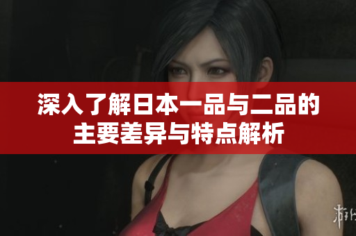 深入了解日本一品与二品的主要差异与特点解析
