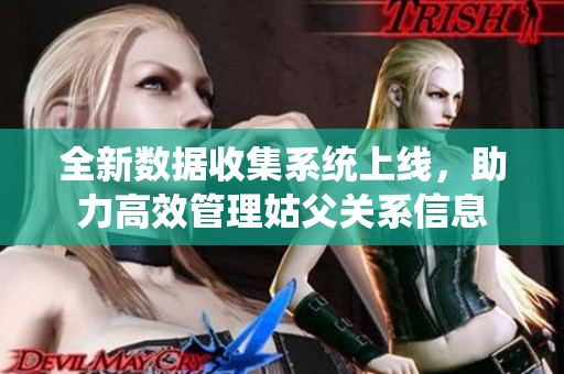 全新数据收集系统上线，助力高效管理姑父关系信息