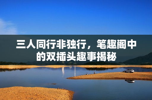三人同行非独行，笔趣阁中的双插头趣事揭秘