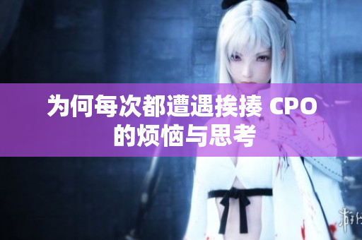 为何每次都遭遇挨揍 CPO 的烦恼与思考