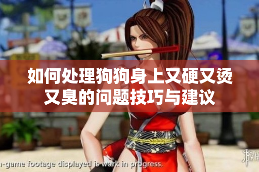 如何处理狗狗身上又硬又烫又臭的问题技巧与建议
