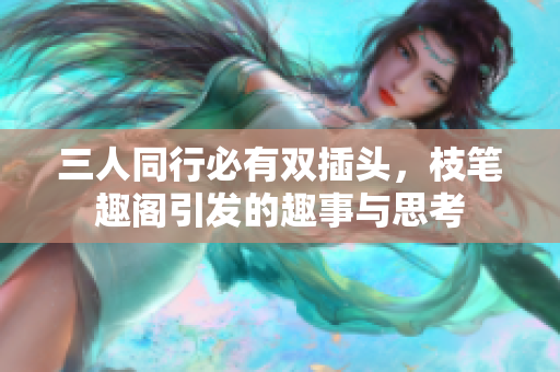 三人同行必有双插头，枝笔趣阁引发的趣事与思考