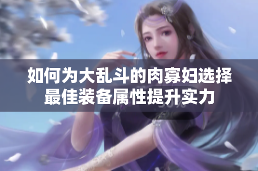 如何为大乱斗的肉寡妇选择最佳装备属性提升实力