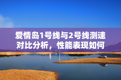 爱情岛1号线与2号线测速对比分析，性能表现如何